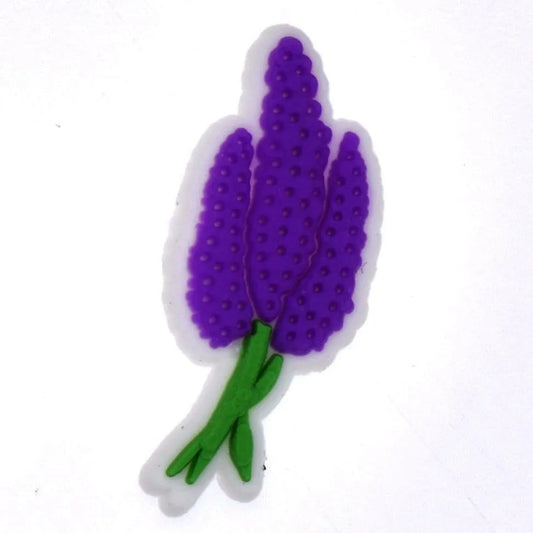 Vervain Herb Poison Shoe Charm