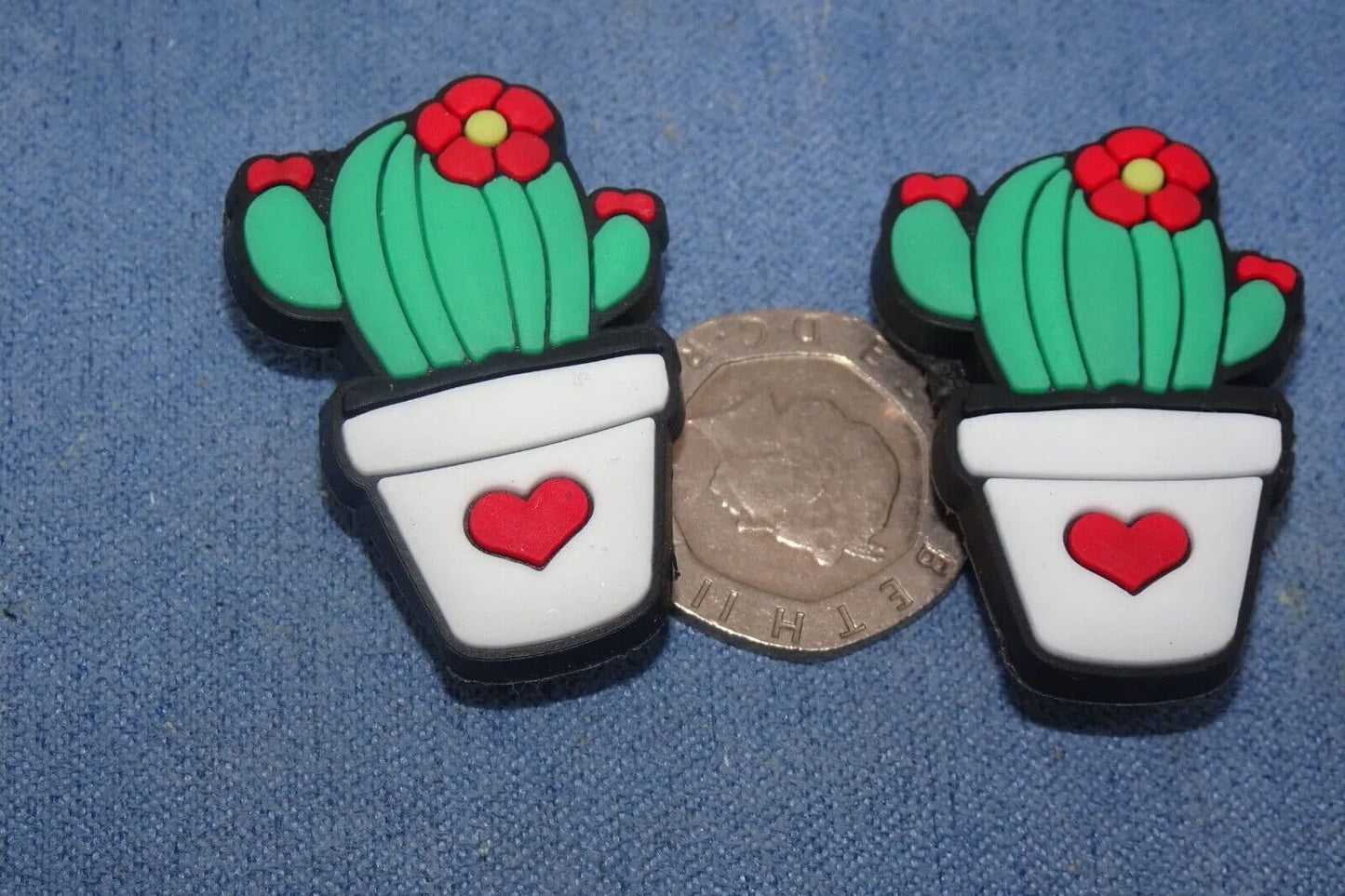 5 Cactus Cacti assorted plants shoe charm BC