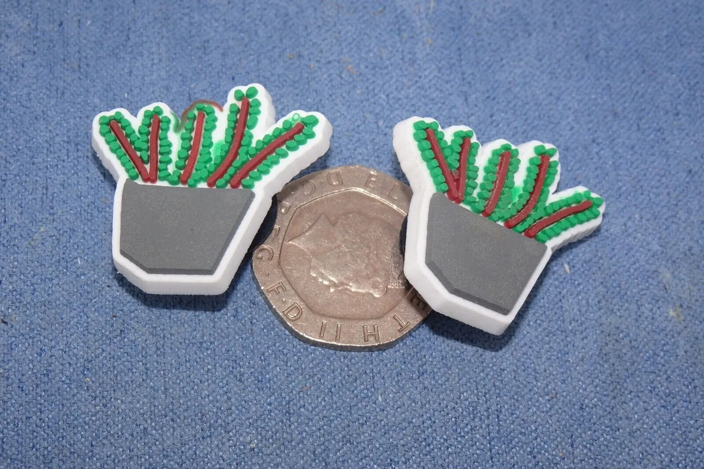 5 Cactus Cacti assorted plants shoe charm BC