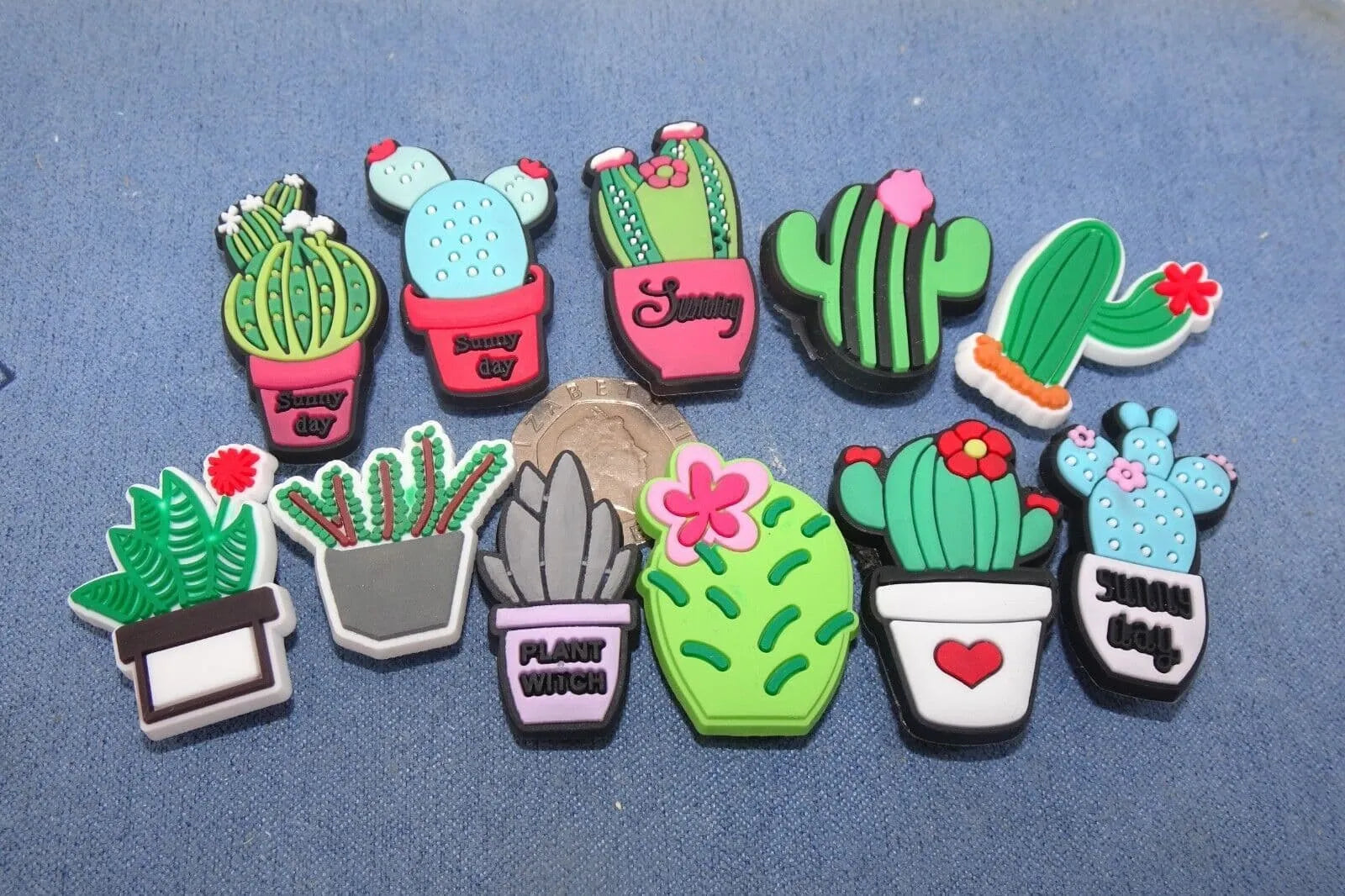 6 Cactus Cacti assorted plants shoe charm BC