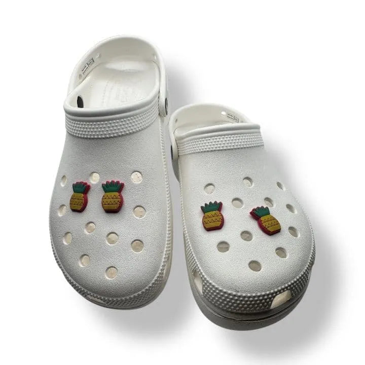 Pineapple with Pink border shoe charm BC