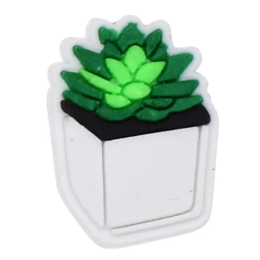 Succulent Plant In White Square Pot Shoe Charm